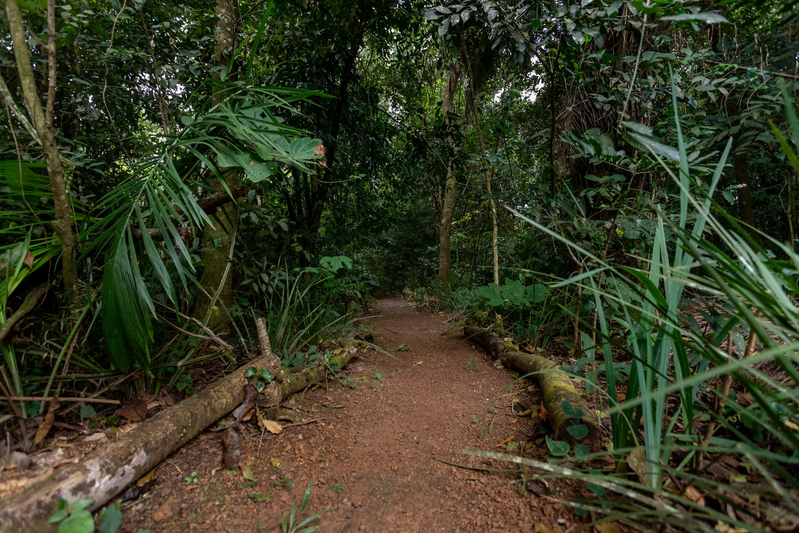 Áreas externas