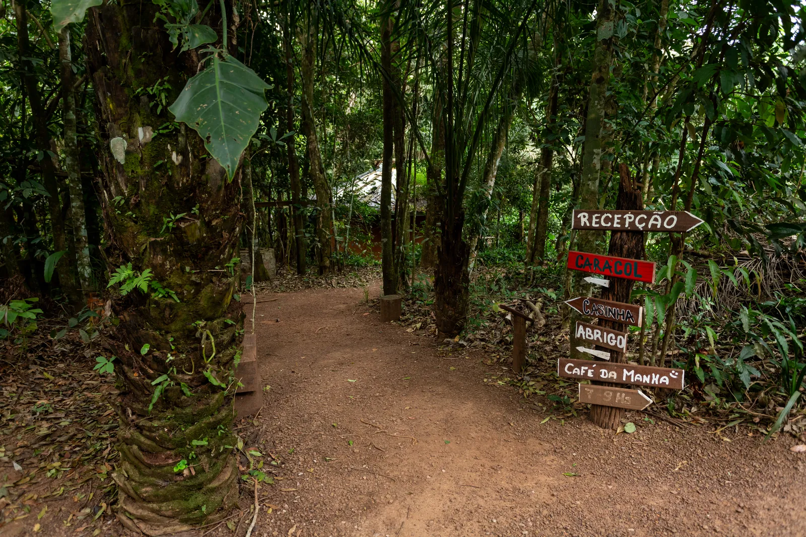 Passeios na Chapada dos Guimarães